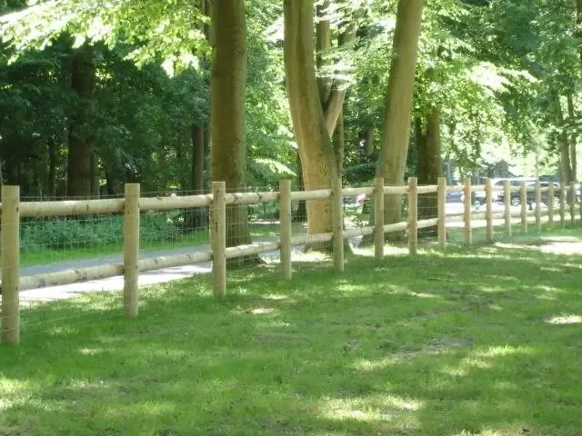 cloture-champetre