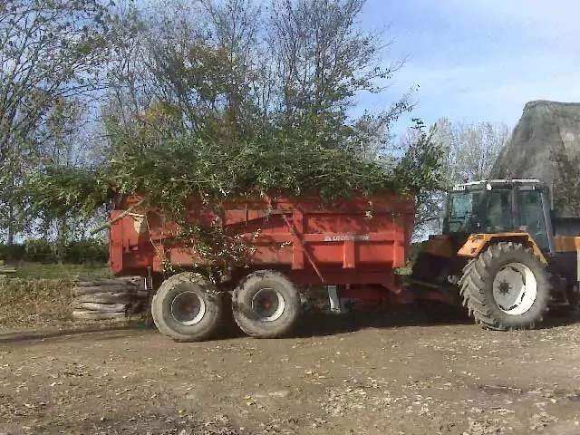 elagage-evacuation-des-branches-6720be463ac8c