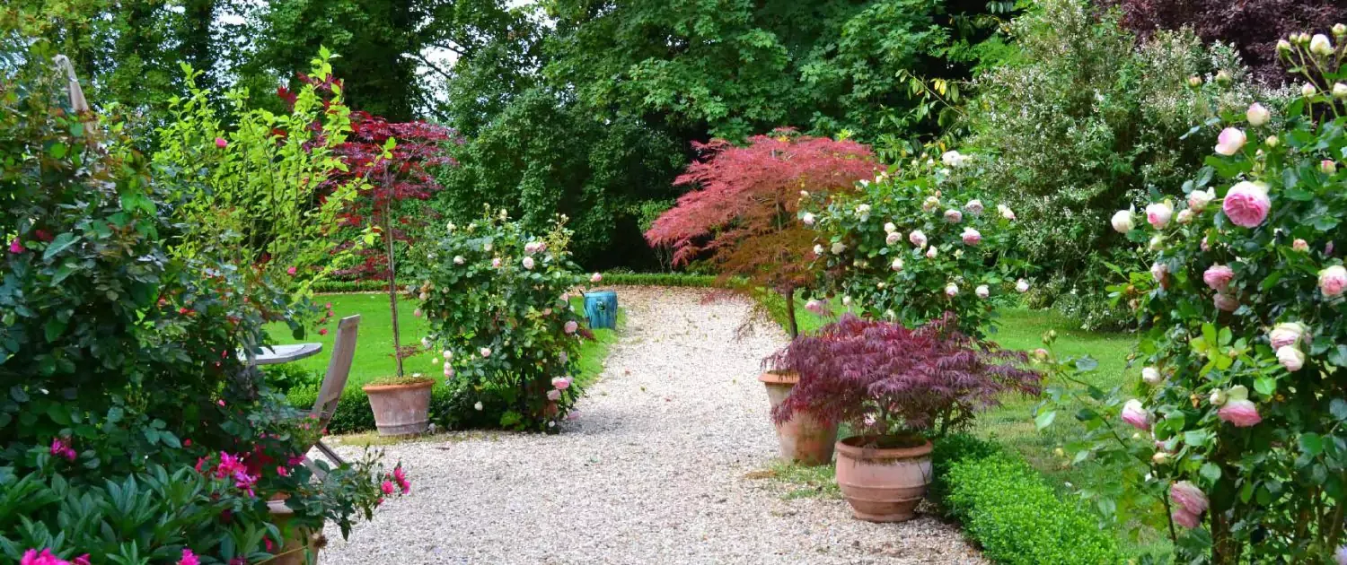 entretien-et-taille-jardin-vivace-1500x630-6720e37426eca