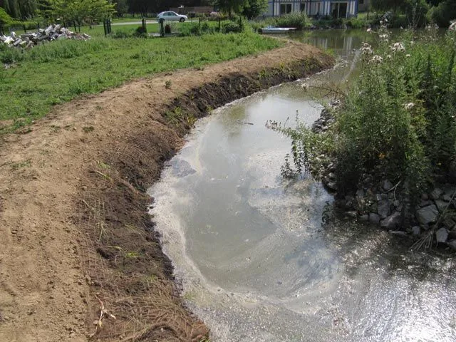 stabilisation-des-berges-d-un-etang-detail