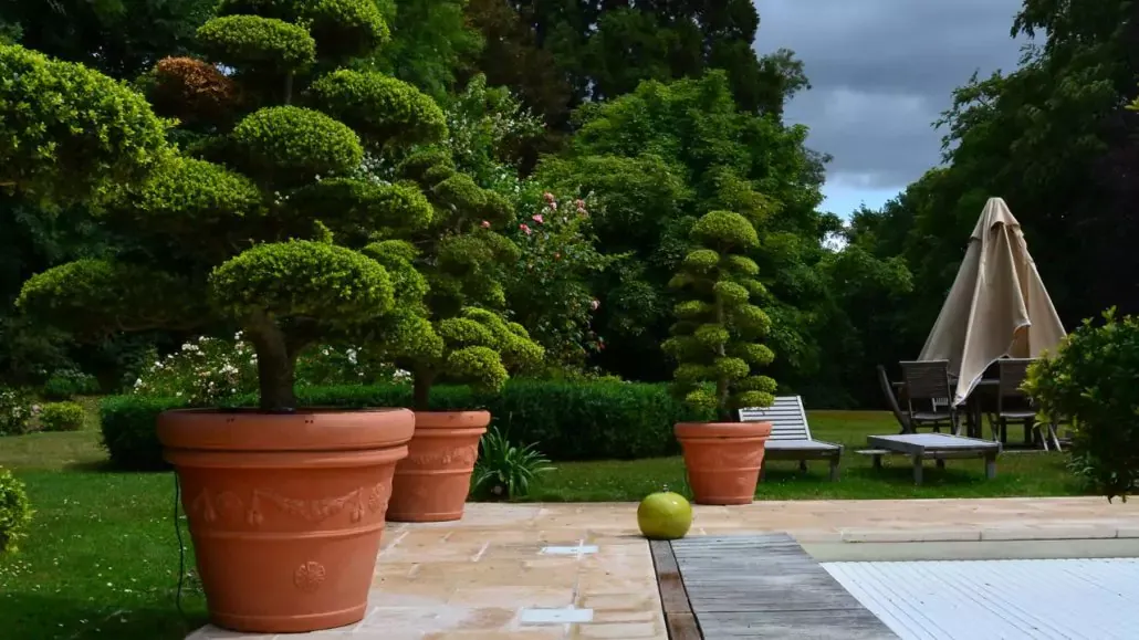 terrasse-piscine-grand-1030x579-671fae4e66798